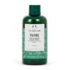 HoneySkin Tea Tree Foaming Face Wash with tea